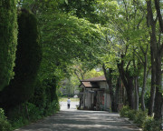 しょうぶ学園写真